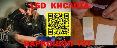 прущие грибы Гатчина