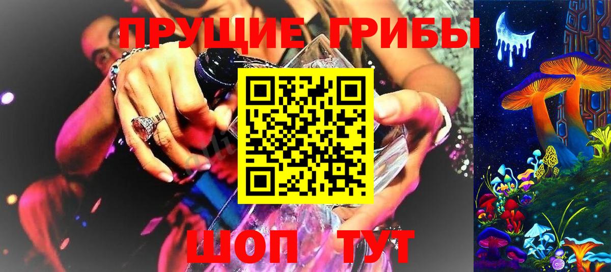 Богородск  купить наркотик  Вход с VPN  Псилоцибиновые грибы Psilocybine cubensis 